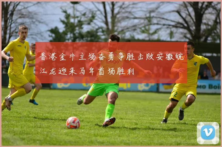 香港金牛主场奋勇争胜击败安徽皖江龙迎来马年首场胜利